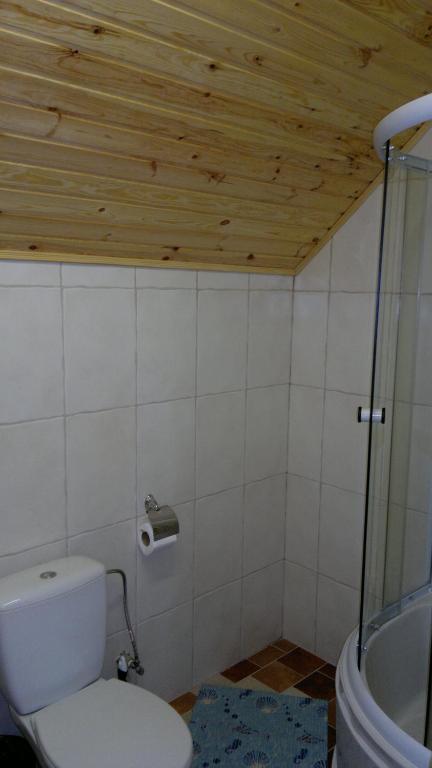 Hotel Panska Hata Nyzhnya Khortytsya Pokój zdjęcie