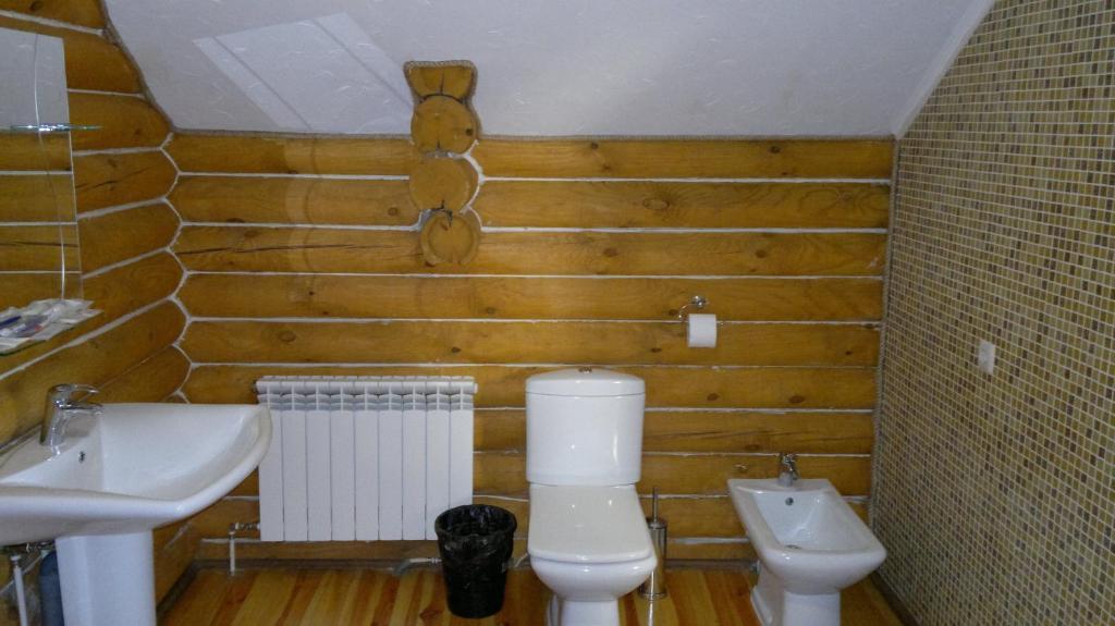 Hotel Panska Hata Nyzhnya Khortytsya Pokój zdjęcie