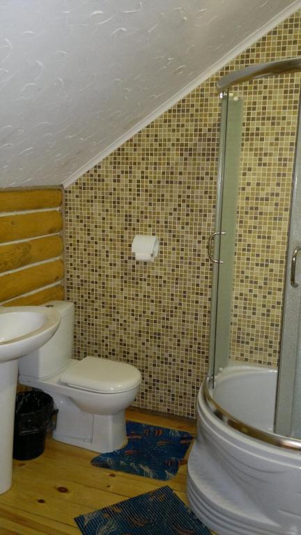 Hotel Panska Hata Nyzhnya Khortytsya Pokój zdjęcie